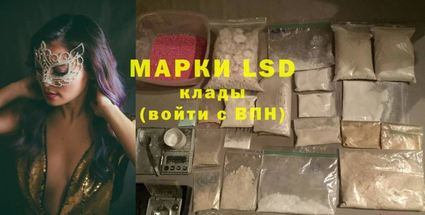 ECSTASY Алзамай