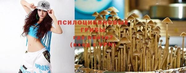 амфетамин Алексеевка
