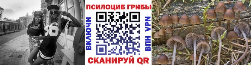 Галлюциногенные грибы мицелий  гидра ссылки  Зарайск 